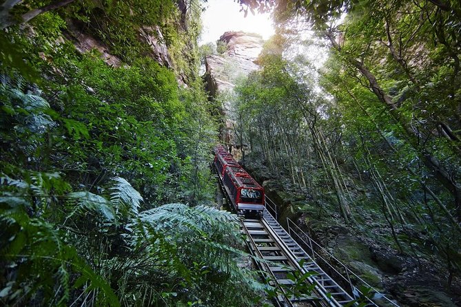 Private All Blue Mountains Day Tour