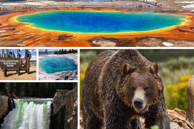 Private All-Day Tour of Yellowstone National Park