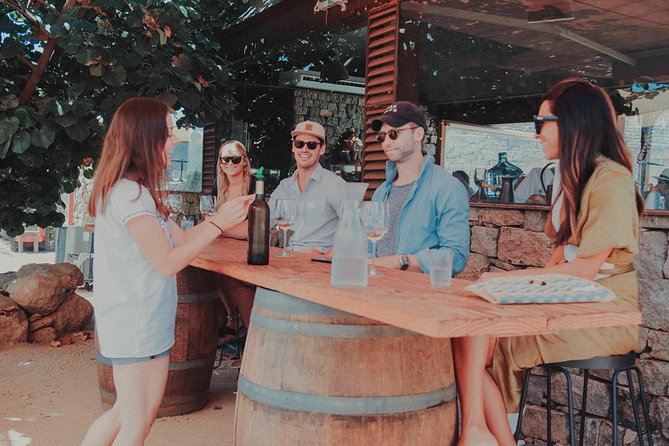Private and Custom Group Wine Tour Valle De Guadalupe