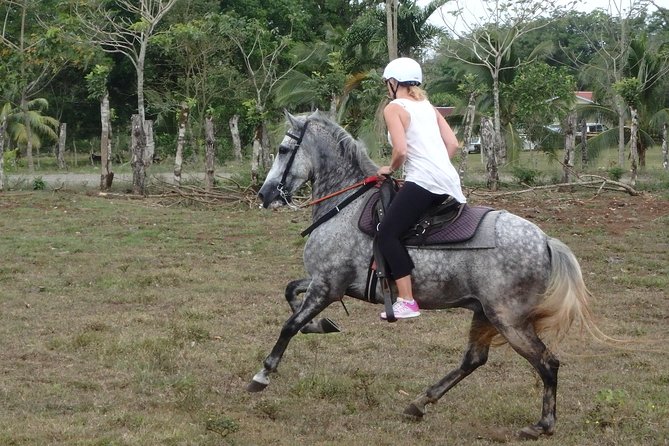 Private and Customized Horseback Riding Adventures - Overview and Experience