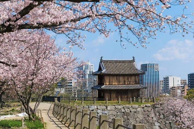 Private and Unique Fukuoka Cherry Blossom Sakura Experience