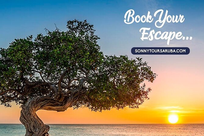 Private Aruba Roundtrip Airport Transfer
