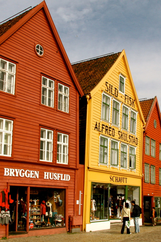 Private Bergen Walking Tour - Tour Overview