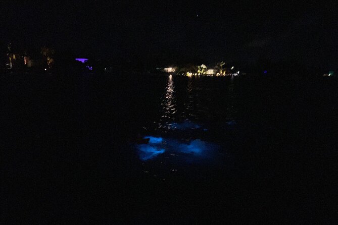 Private: Bioluminescence Tour