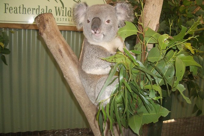2 Best Cruises And Boat Tours In Blue Mountains