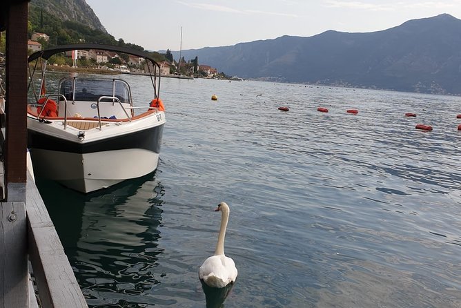 Private Boat Tour Kotor-Our Lady of the Rocks-Blue Cave up to 6 Passenger