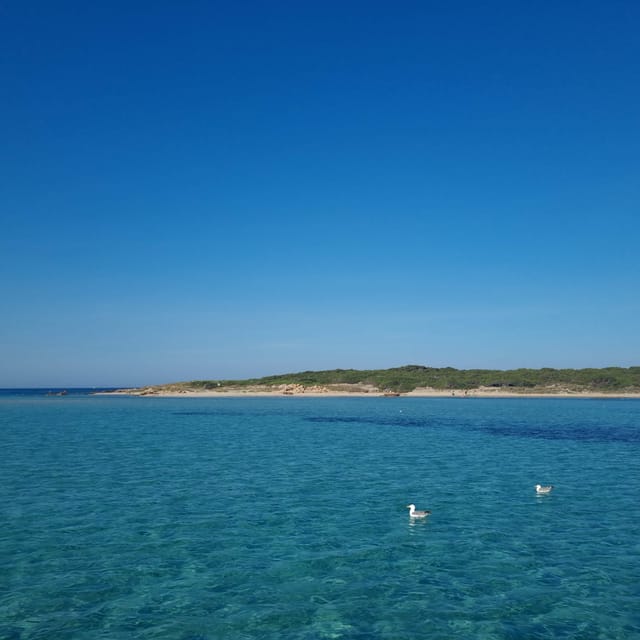 Private Boat Tour to the Strait of Bonifacio With Aperitif