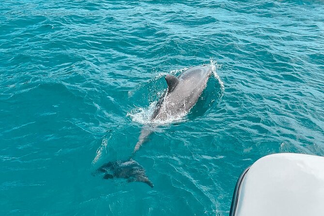 Private Boat Tour With Dolphin Spotting and Snorkelling From Phuket
