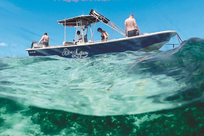 10 Best Cruises And Boat Tours In Basse Terre Island