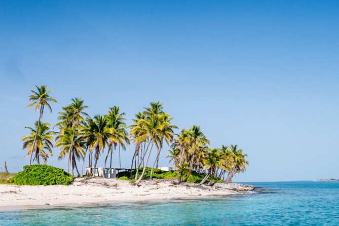 13 Best Fishing Tours In New Providence Island