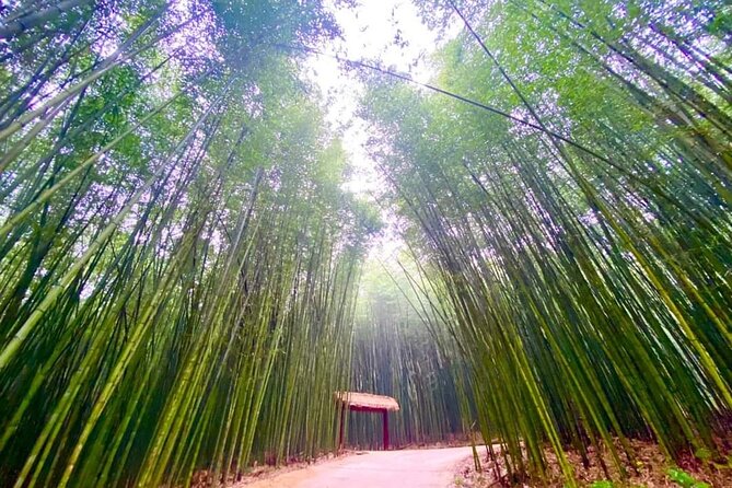 Private Car and Tour Guide Exploring Northern Vietnam - Tour Overview and Pricing