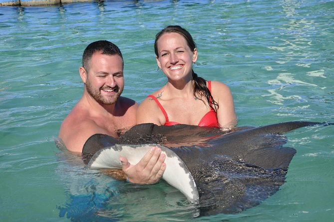 Private Caribbean Snorkeling Cruise At Punta Cana & Sharks, Stingray Encounter - Activities and Experiences Onboard