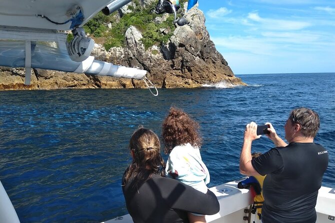 Private Charter 8 Hour Snorkel and Paddleboard the Poor Knights - 1 to 12 People - Inclusions