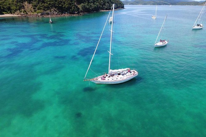 Private Charter Bay of Islands - Ideal for Visitors