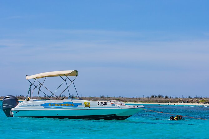 Private Cruise Along Aruba Coastline With Snorkeling