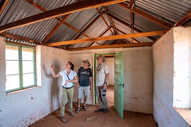 Private Cultural and Historical Painted Desert Tour in Hermannsburg - Tour Overview