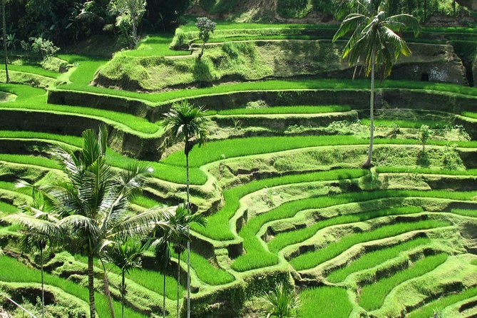 Private Custom Tour: Bali in a Day