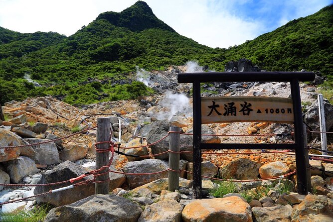 Private Customizable Tour in Hakone