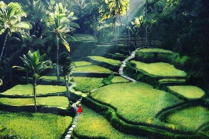 Private Customized Tour With Local Guide - Tour Overview