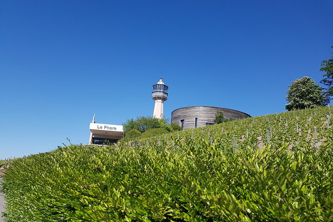Private Day Tour in Champagne