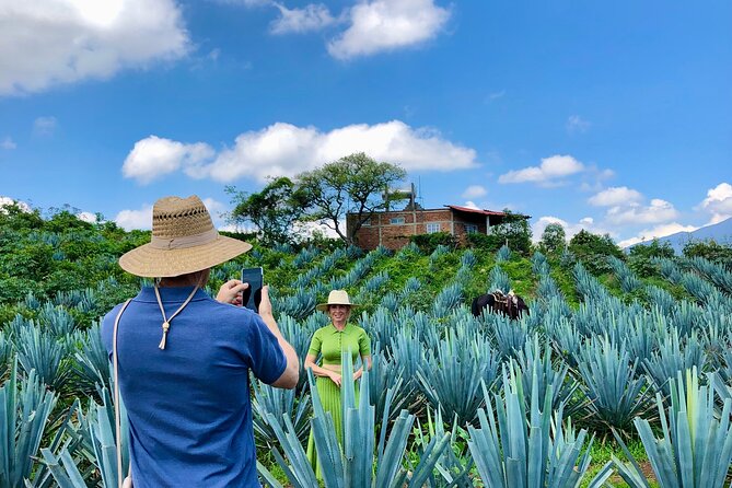 Private Day Tour of Guachimontones & Tequila
