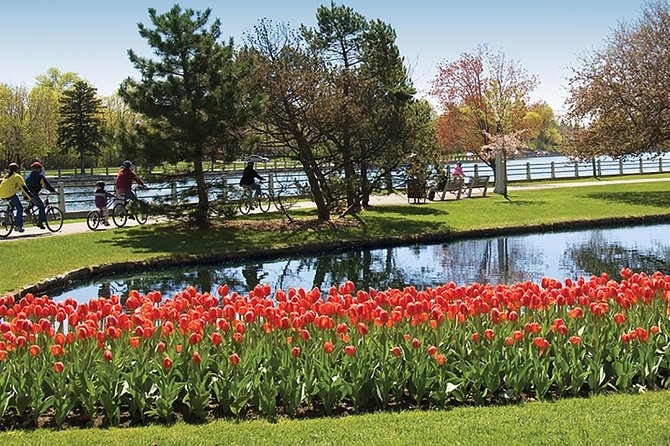 Private Day Tour OTTAWA Tulip Festival May 10-20 From MONTREAL
