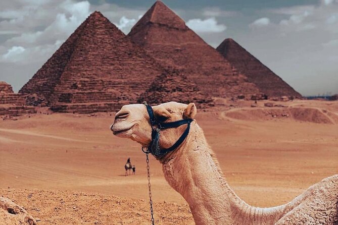 Private Day Tour to Giza Pyramids, Saqqara, and Memphis