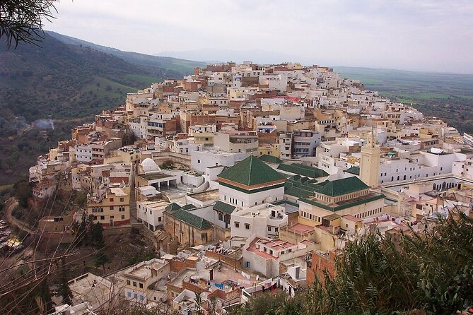 Private Day Trip to Volubilis Meknes and Moulay Driss From Fez