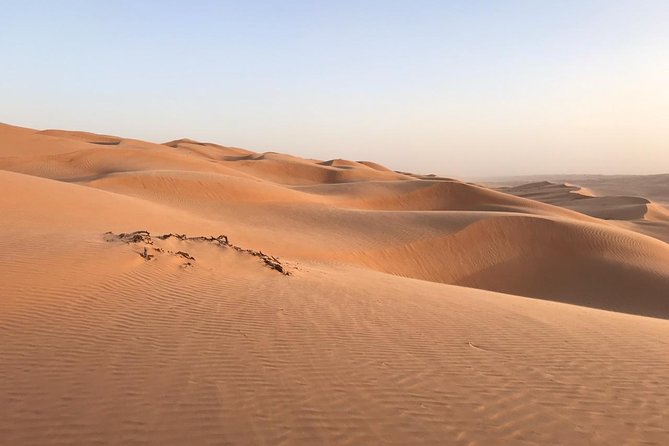 Private Day Trip to Wahiba Sands & Wadi Bani Khalid (Desert Safari)