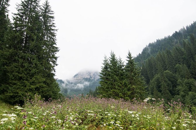 Private Daytrip Hike to Bucegi Mountains - Tour Highlights