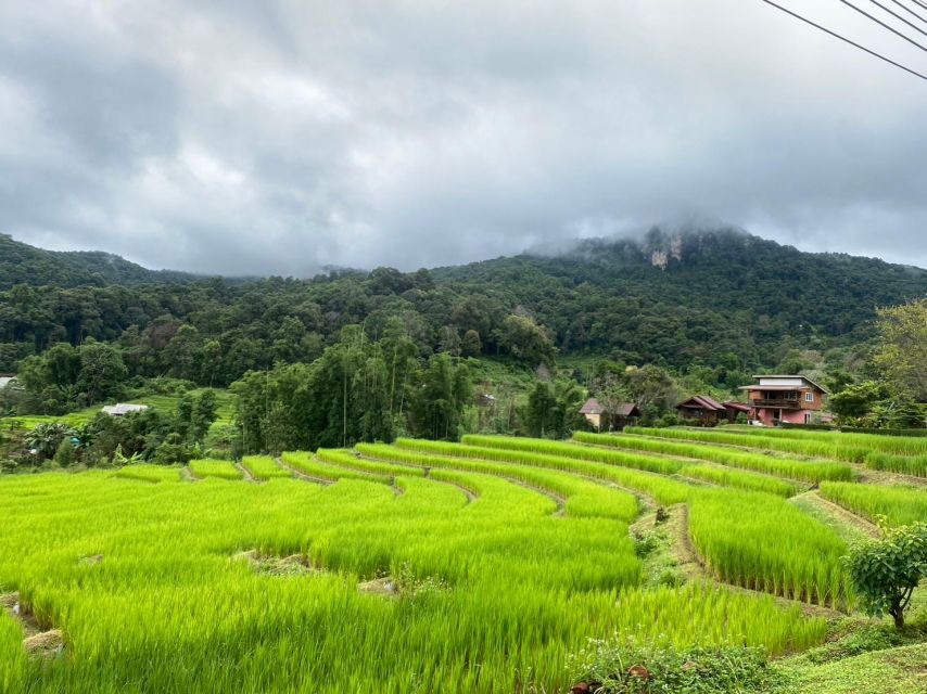 Private Doi Intanon National Park With 2 Hour Trekking - Activity Overview