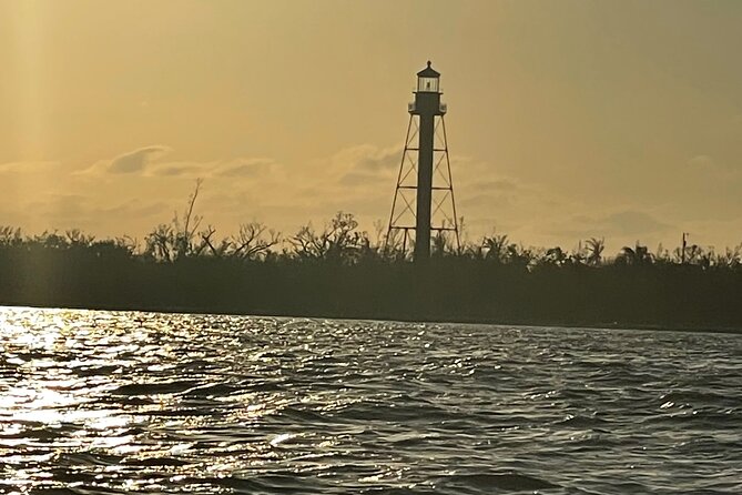 Private Dolphin & Sightseeing Boat Day Tour