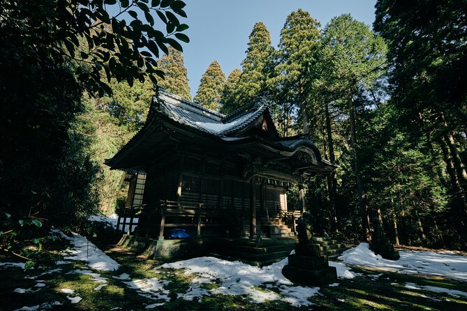 Private Echizen Lacquer Painting Experience and Cycling Tour