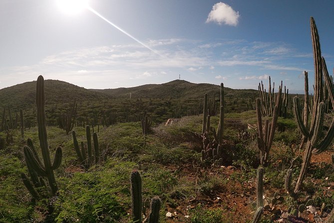 Private Excursion to Arubas Highest Point & Pristine Coral Reef