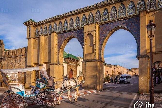 Private Excursion to Volubilis Meknes and Moulay Idriss From Fez