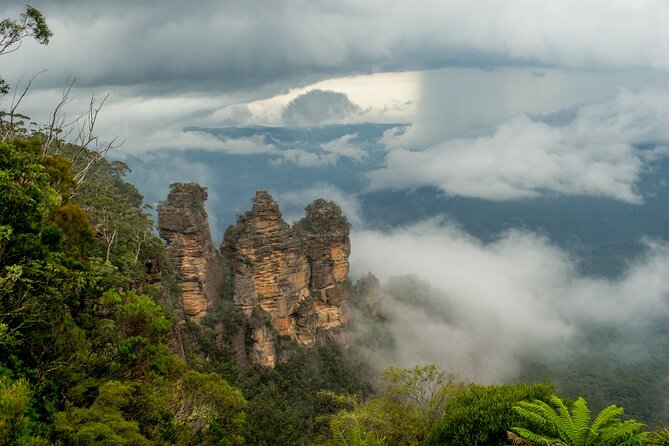 PRIVATE Featherdale Zoo Blue Mountains Scenic World in Luxury Car