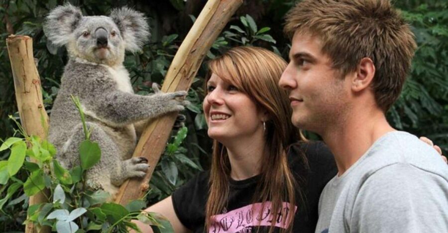 PRIVATE Featherdale Zoo Blue Mountains Scenic World Tour