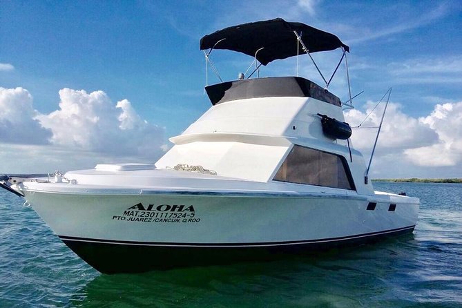 Private Fishing Charter Bertram 31FT 6 Pax Max if You Dont Fish You Dont Pay