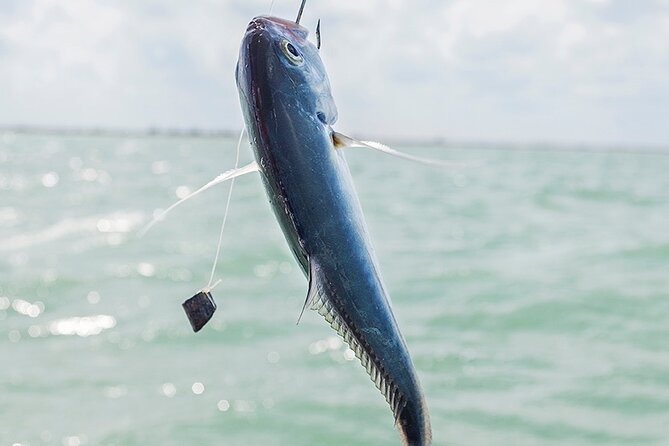 Private Fishing Tour From Isla Holbox (Up to 6 Pax) - Fishing Experience