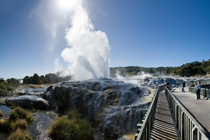 Private Full-Day Rotorua Tour From Auckland