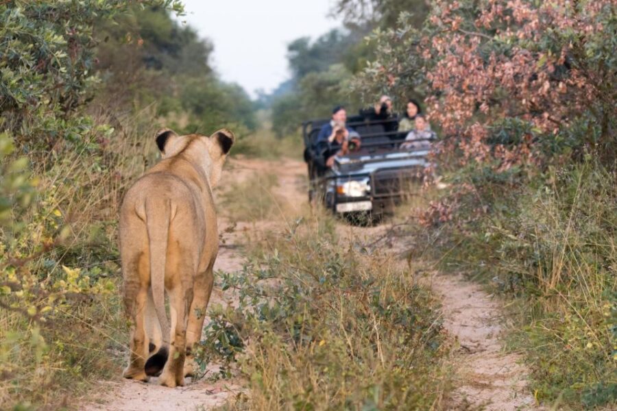 2 Best National Park Tours In Addo