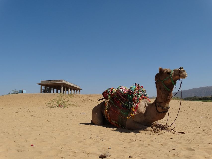 Private Full Day Udaipur City Tour (All-Inclusive)