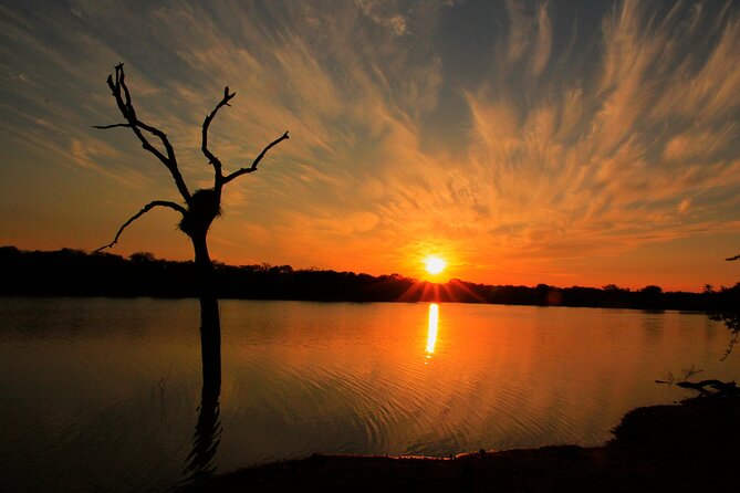 Private Game Drive Safari in Hoedspruit - Capturing Unforgettable Moments