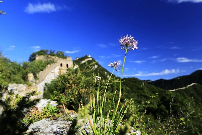 Private Great Wall Hiking From Jiankou to Mutianyu - Tour Overview
