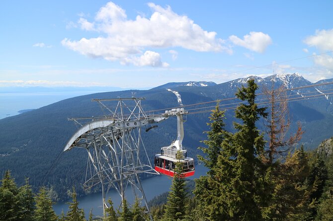 Private Grouse Mountain and Capilano Park Tour in Vancouver