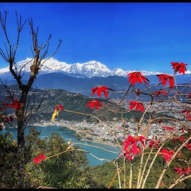 Private & Guided Day Tour In Pokhara: 5-Hours - Tour Overview and Pricing