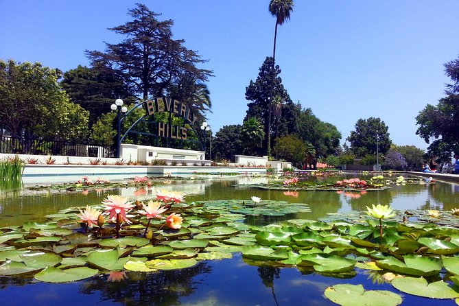 Private, Guided Sightseeing Tour of Los Angeles