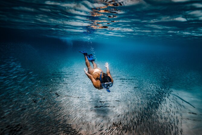 Private Guided Snorkeling in Cabo San Lucas - Overview of the Tour