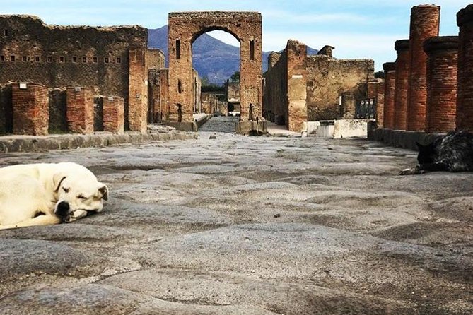 Private Guided Tour. Experience the Everyday Life of the Eternal Town of Pompeii
