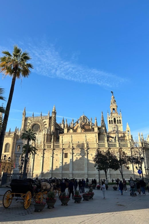 25 Best Tours In Seville
